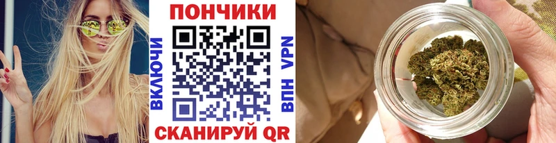 Бошки марихуана Amnesia  Лодейное Поле 